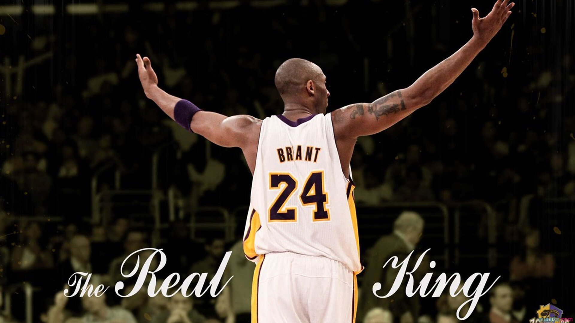 开云竞猜官网-_极夜冰川滑雪：在北极光中疾驰_，北极光滑雪场