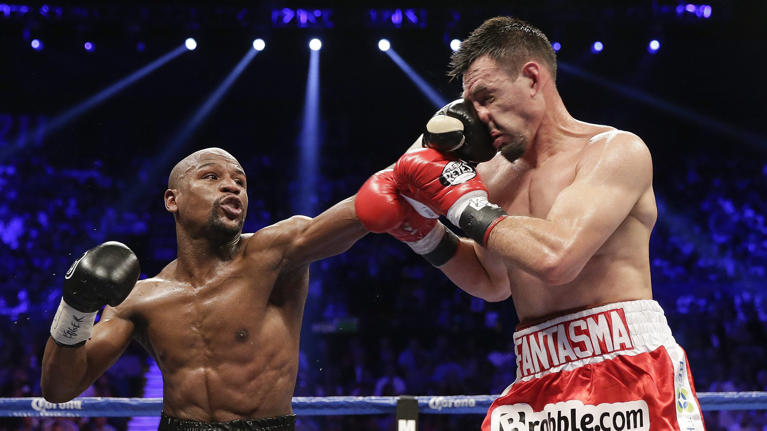 未来方向：电动WRC赛道的理念与前景，wrc赛车介绍