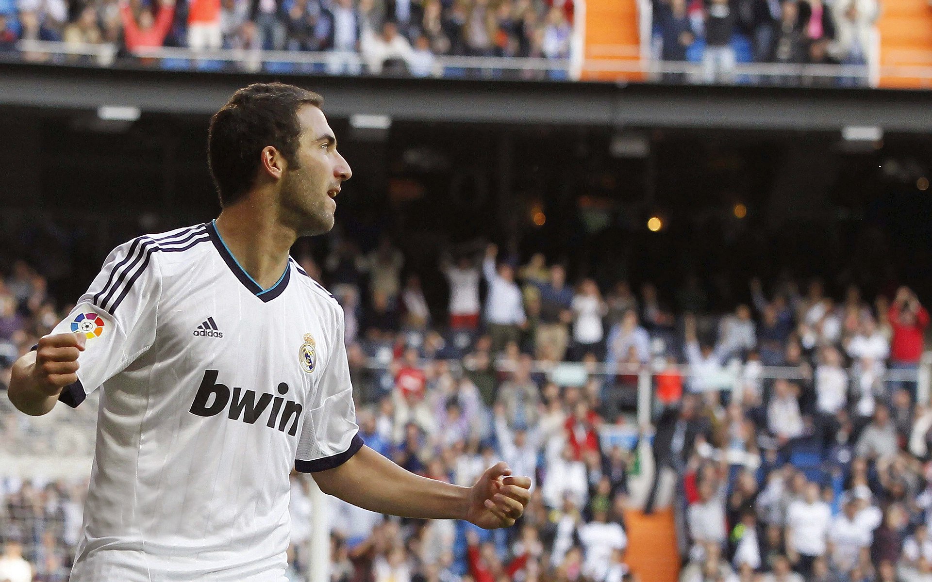 未来方向：电动WRC赛道的理念与前景，wrc赛车介绍